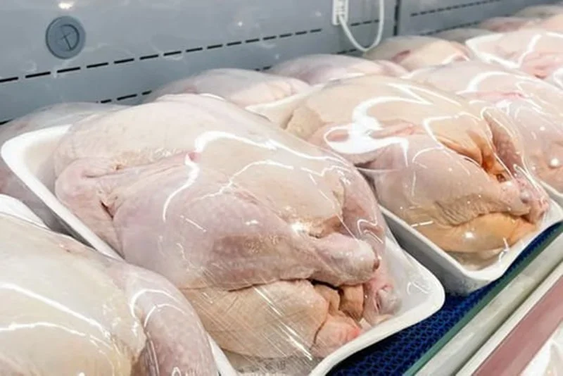 Chicken